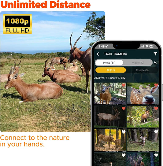 4G LTE Cellular Trail Camera Sends Picture Video to Cell Phone - Game Camera 24MP 1080P Hunting Camera with Night Vision Motion Activated Waterproof IP66 2.4" Screen for Wildlife Monitoring