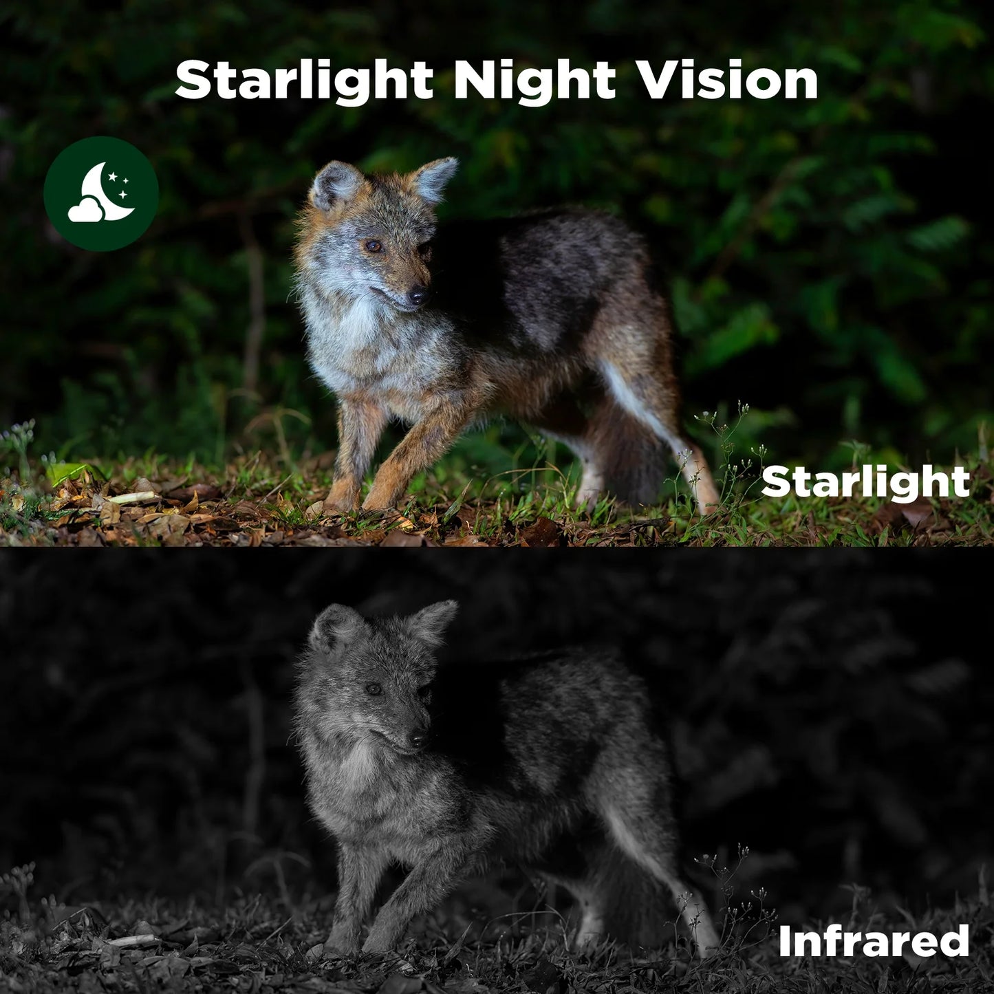 Wifi Trail Camera 4K UHD 30FPS Integrated Solar Powered, Starlight Night Vision Dual Lens 60MP Bluetooth Game Camera with 0.1S Trigger IMX458 Sensors IP66 Waterproof for Wildlife Monitoring