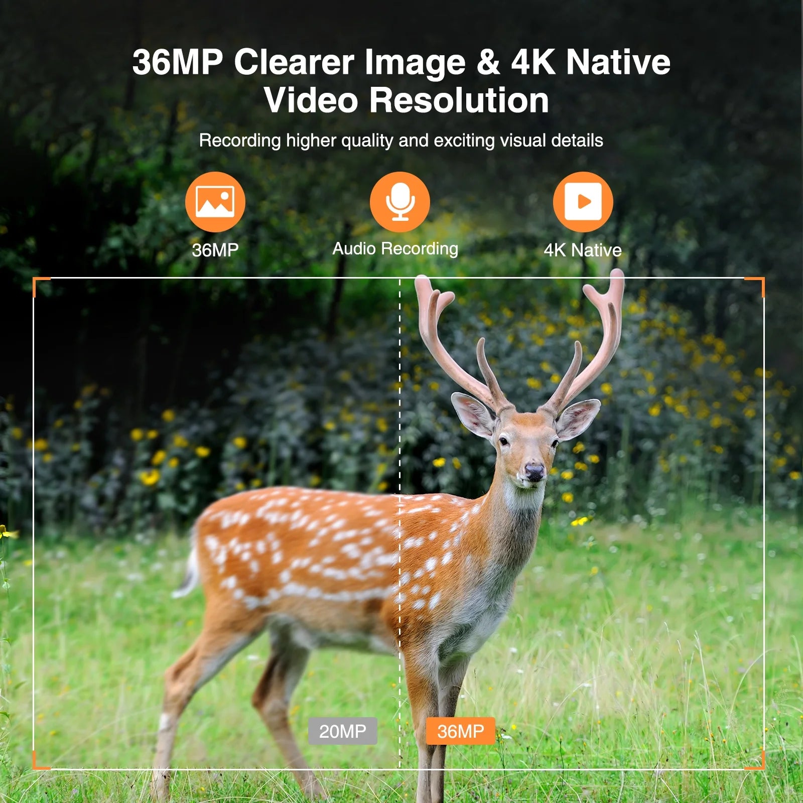 Solar Powered Trail Camera Native 4K 30Fps Wifi Bluetooth 46MP Game Camera with Night Vision Waterproof IP66 Motion Activated 120° Wide Angle Hunting Deer Trail Cam for Wildlife Monitoring