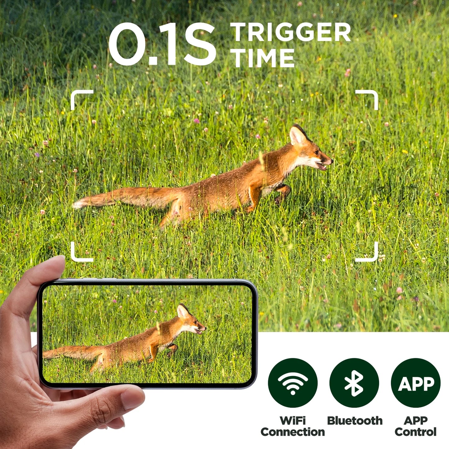 Wifi Trail Camera 4K UHD 30FPS Integrated Solar Powered, Starlight Night Vision Dual Lens 60MP Bluetooth Game Camera with 0.1S Trigger IMX458 Sensors IP66 Waterproof for Wildlife Monitoring