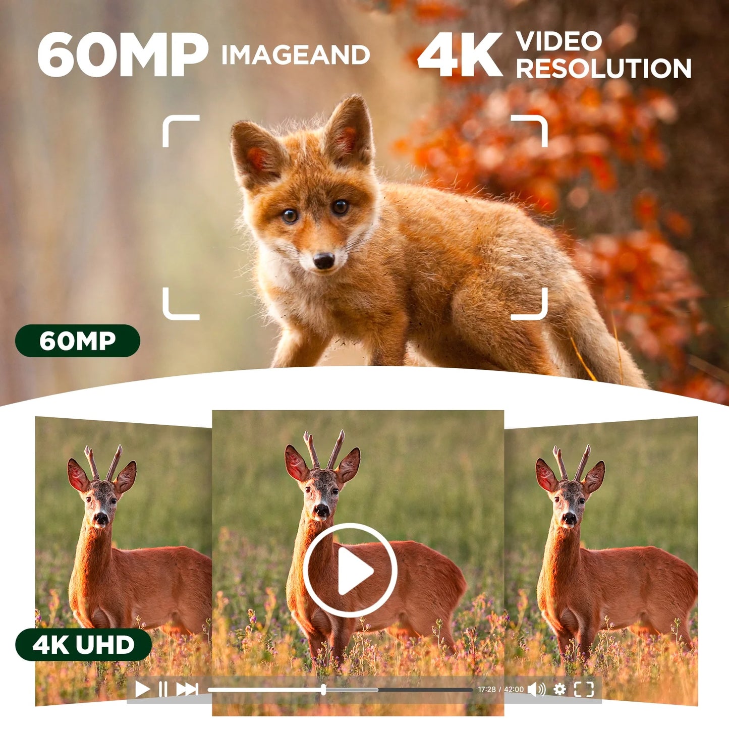 Wifi Trail Camera 4K UHD 30FPS Integrated Solar Powered, Starlight Night Vision Dual Lens 60MP Bluetooth Game Camera with 0.1S Trigger IMX458 Sensors IP66 Waterproof for Wildlife Monitoring