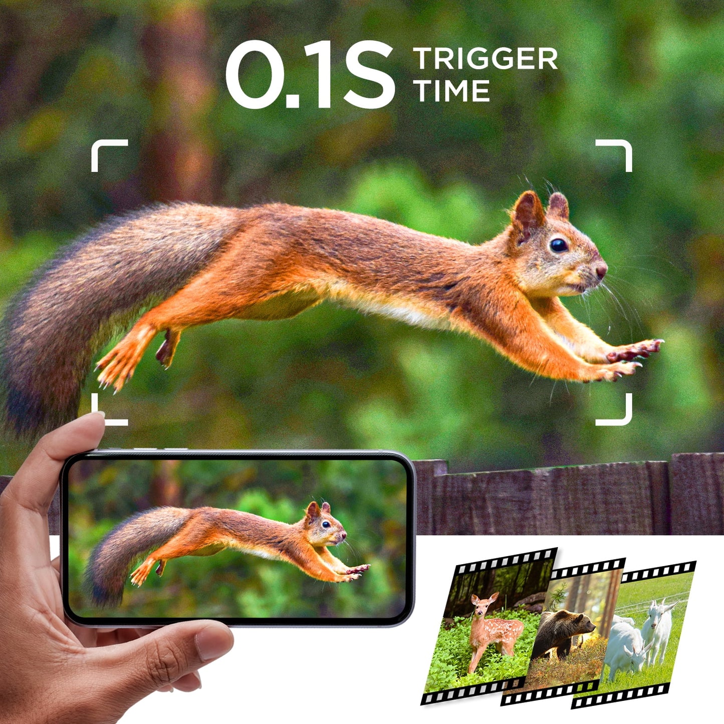 TC19 Solar Trail Camera 48MP 4K Hunting Deer Game Cameras with Night Vision Motion Activated
