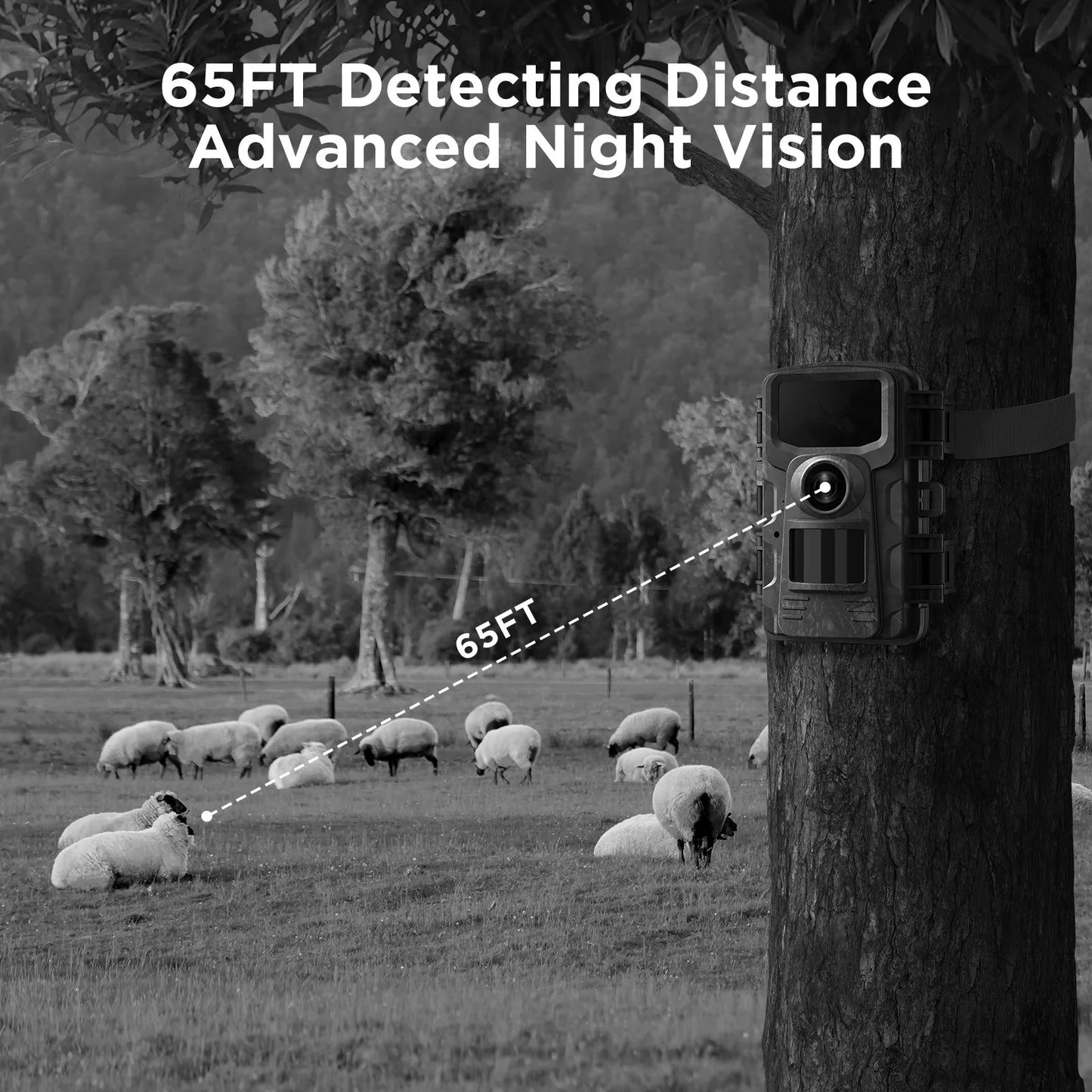 Trail Camera 2K 36MP Game Camera with Infrared Night Vision Waterproof 65FT Motion Activated Wildlife Scouting Hunting Deer Trail Cam with 120° Wide Angle Lens 2.0"LCD