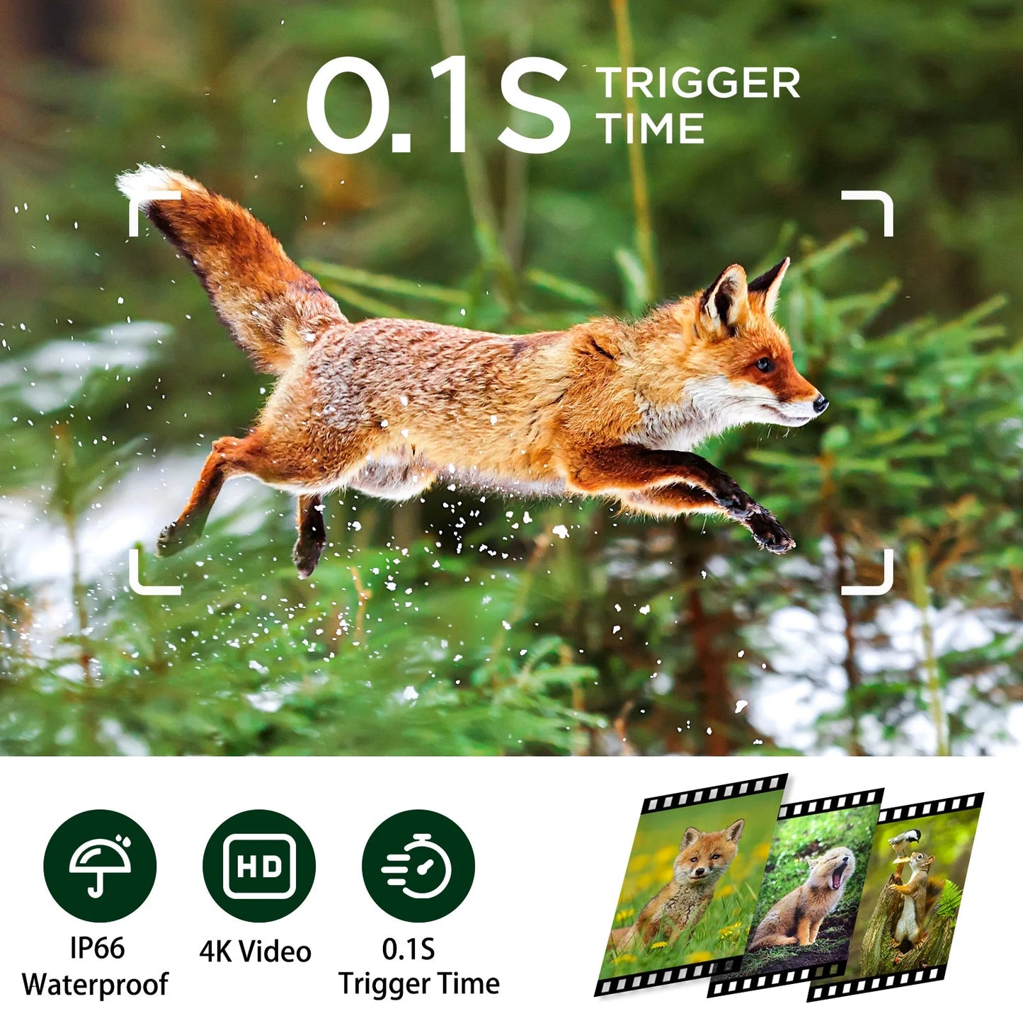 TC30 Trail Camera 4K 48MP Deer Game Hunting Camera with Infrared Sensors Motion Activated Night Vision Waterproof for Wildlife Trail Monitor