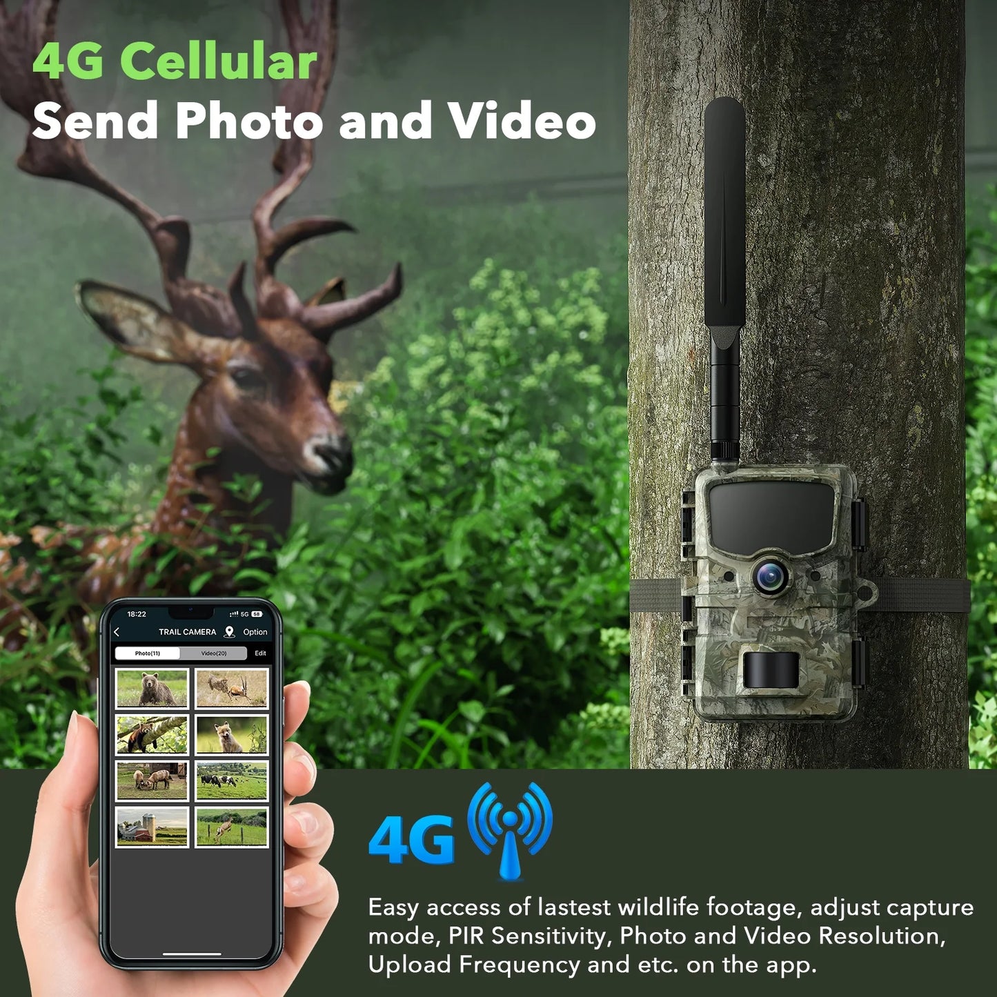 4G LTE Cellular Trail Camera Sends Picture Video to Cell Phone - Game Camera 24MP 1080P Hunting Camera with Night Vision Motion Activated Waterproof IP66 2.4" Screen for Wildlife Monitoring