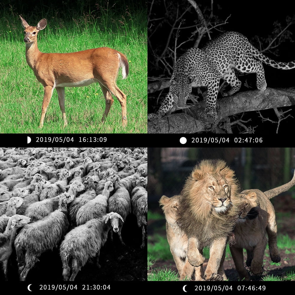 Trail Camera 36MP 2K HD Deer Game Camera Infrared Night Vision Waterproof Motion Activated Wildlife Scouting Hunting Trail Cam with 120°Wide Angle Lens 2.0" LCD Screen