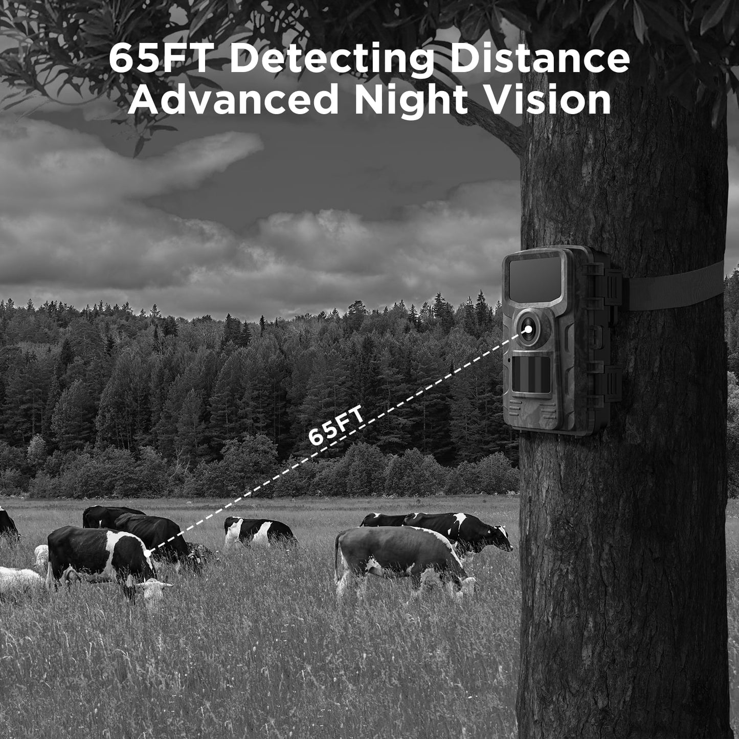 Trail Camera 4K 48MP Hunting Game Camera Infrared Night Vision Motion Activated Waterproof IP66 0.1S Trigger Time Lapse 2.0" LCD Trail Wildlife Cam Surveillance Monitors