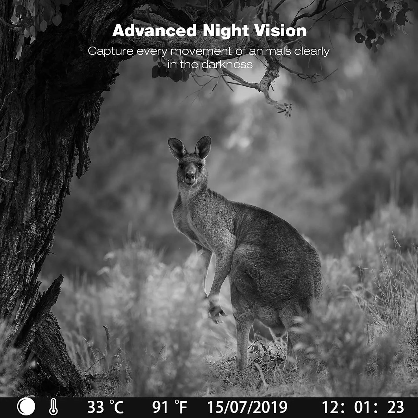 Trail Camera with SD Card 4K 42MP Deer Hunting Game Camera with Infrared Night Vision Fast Trigger Time Motion Activated Waterproof IP66 120° Wide Angel 2.4" LCD Trail Wildlife Camera