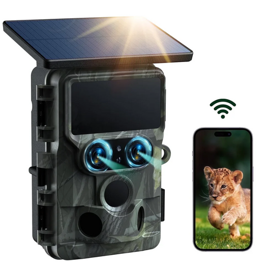 Hunting & Trail Cameras: How to Choose and Use Them