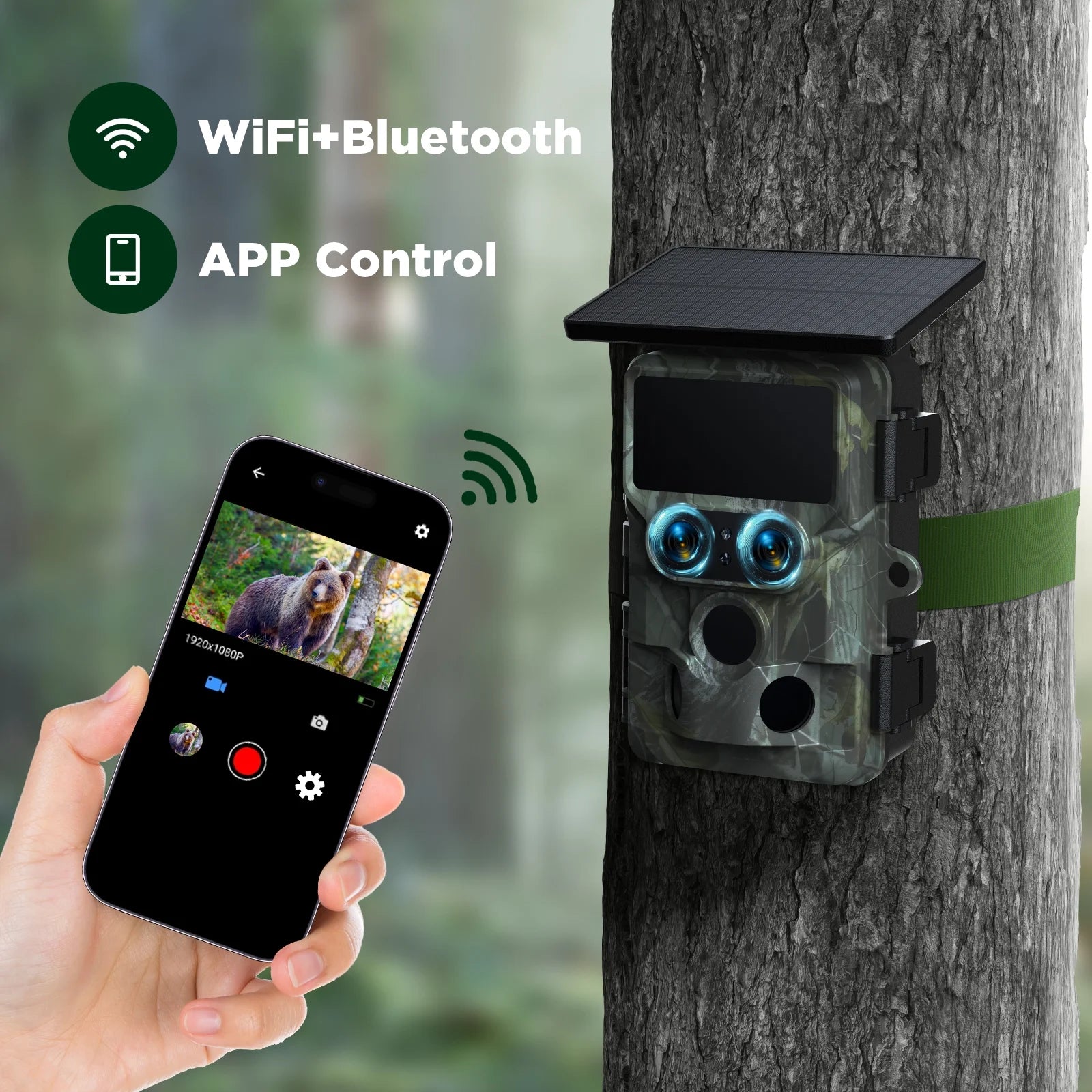 Wifi Trail Camera 4K UHD 30FPS Integrated Solar Powered, Starlight Night Vision Dual Lens 60MP Bluetooth Game Camera with 0.1S Trigger IMX458 Sensors IP66 Waterproof for Wildlife Monitoring